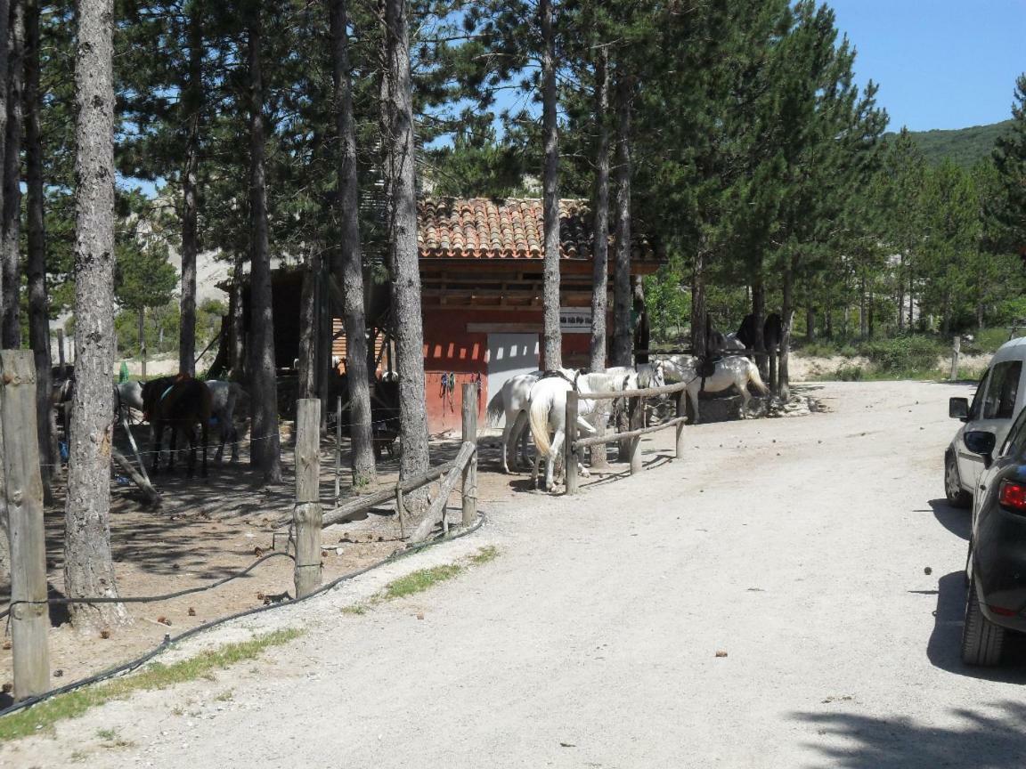 Bienvenidos A Vuestra Casa! Apartman Sansoáin Kültér fotó